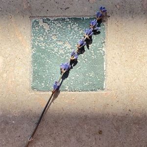 Meet your Posher, Melisa